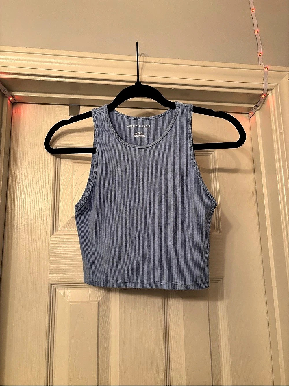 American Eagle Outfitters Blue Crop Tank Top